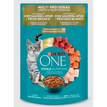 ONE GATOSMULTIPROTEINA ADLTEFILH15X85GXI