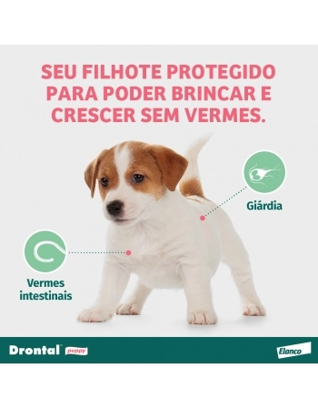 DRONTAL PUPPY 100ML